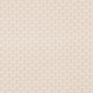 Morgan Pearl Grey 71171 by Schumacher Fabric