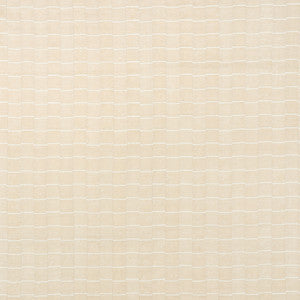 Lines Ivory 71213 by Schumacher Fabric