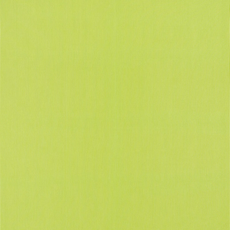 Edie Stripe Green 71306 by Schumacher Fabric Essentials-Classic-Stripes 100% Cotton - Horizontal: 3/8- and Vertical: - 55 - Fabric Carolina -