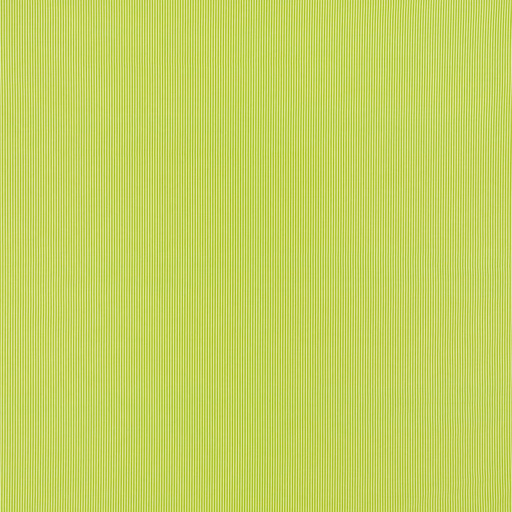 Edie Stripe Green 71306 by Schumacher Fabric Essentials-Classic-Stripes 100% Cotton - Horizontal: 3/8- and Vertical: - 55 - Fabric Carolina -