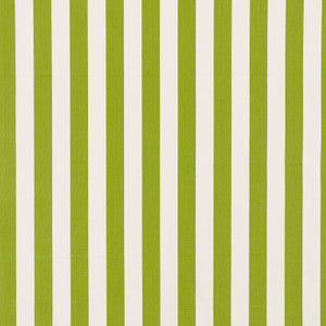 Andy Stripe Green 71326 by Schumacher Fabric
