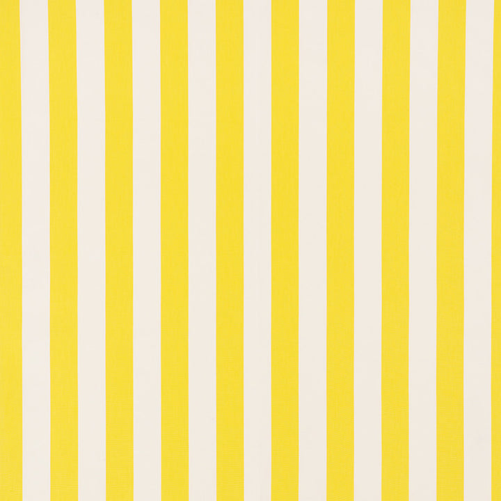 Andy Stripe Yellow 71327 by Schumacher Fabric Essentials-Classic-Stripes 100% Cotton - Horizontal: 5.5 and Vertical: - 55 - Fabric Carolina -
