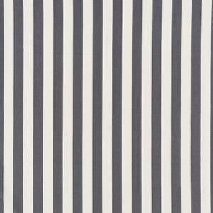 James Stripe Charcoal 71350 by Schumacher Fabric