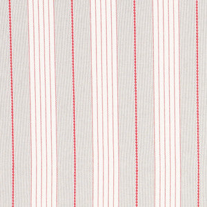 Audrey Stripe Grey & Red 71373 by Schumacher Fabric