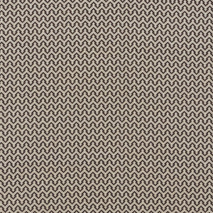 Anatole Charcoal 71602 by Schumacher Fabric