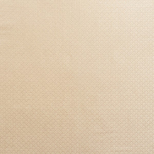 Ashton Champagne 71621 by Schumacher Fabric