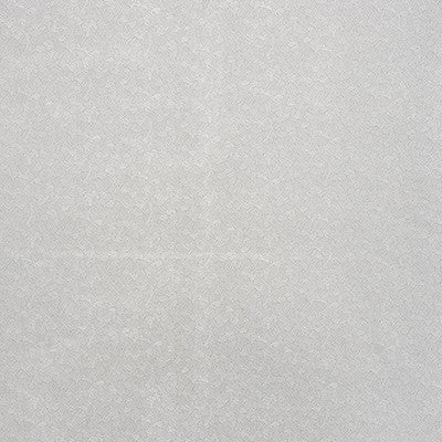 Baker Zinc 71642 by Schumacher Fabric New-Opulence 47% Viscose, 27% Cotton, 26% Silk - Horizontal: 13.75 and Vertical: 9.75 54.5 - Fabric Carolina -