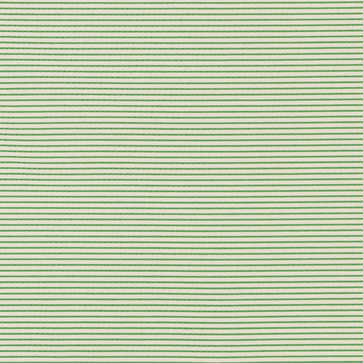 Stitched Stripe Green 71740 by Schumacher Fabric Indooroutdoor-Prints-Wovens 100% High Wyzenbeek 75,000 Horizontal: - and Vertical: 1/4- 56 - Fabric Carolina -