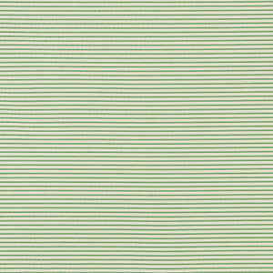 Stitched Stripe Green 71740 by Schumacher Fabric