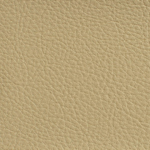 7177 Cream by Charlotte Fabric