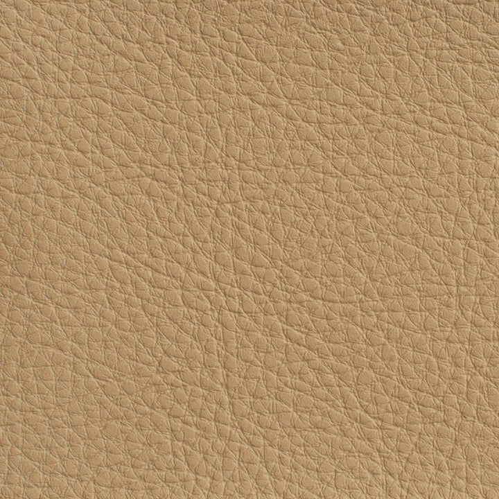 7179 Sand by Charlotte Designer Fabric Heavy Duty Soft Touch Vinyl II 100% Virgin Vinyl, 30oz. Asia Exceeds 200,000 Wyzenbeek Rubs (Heavy Duty) No Repeat 54 Inches - Swanky Fabrics -