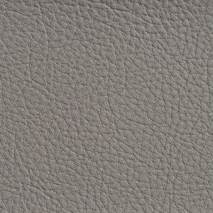 7185 Pewter by Charlotte Fabric