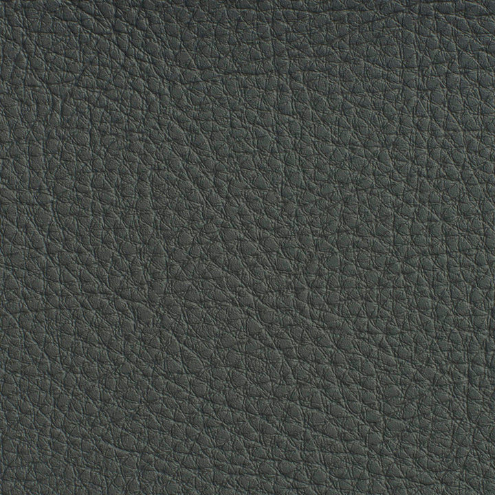 7188 Coal by Charlotte Designer Fabric Heavy Duty Soft Touch Vinyl II 100% Virgin Vinyl, 30oz. Asia Exceeds 200,000 Wyzenbeek Rubs (Heavy Duty) No Repeat 54 Inches - Swanky Fabrics -