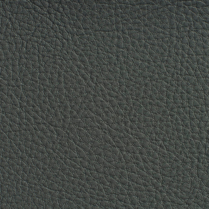 7188 Coal by Charlotte Fabric Heavy Duty Soft Touch Vinyl II 100% Vinyl, 30oz. Asia Exceeds 200,000 Wyzenbeek Rubs (Heavy Duty) </p><p>Repeat: 54 Inches - Fabric Carolina -