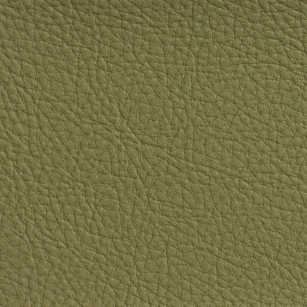 7191 Sage by Charlotte Fabric Heavy Duty Soft Touch Vinyl II 100% Vinyl, 30oz. Asia Exceeds 200,000 Wyzenbeek Rubs (Heavy Duty) </p><p>Repeat: 54 Inches - Fabric Carolina -