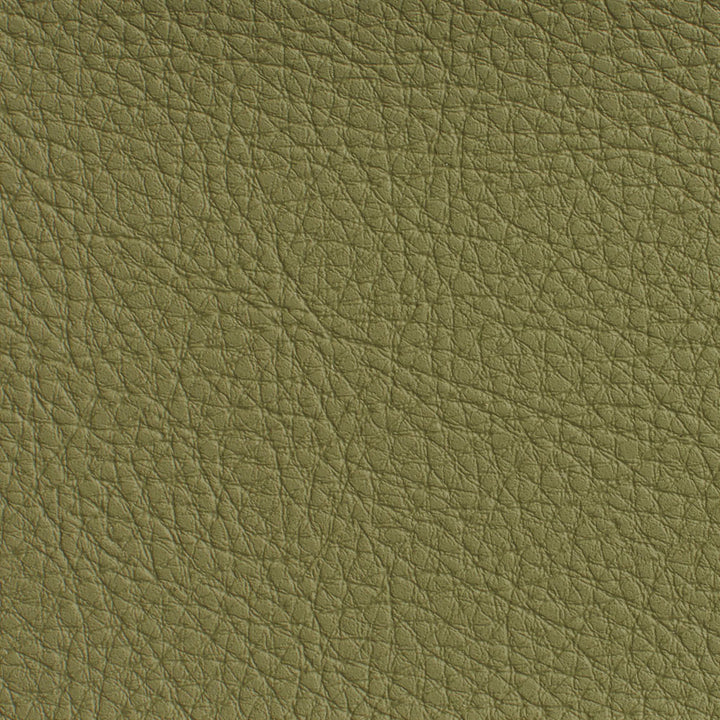 7191 Sage by Charlotte Fabric Heavy Duty Soft Touch Vinyl II 100% Virgin Vinyl, 30oz. Asia Exceeds 200,000 Wyzenbeek Rubs (Heavy Duty) No Repeat 54 Inches - Fabric Carolina -