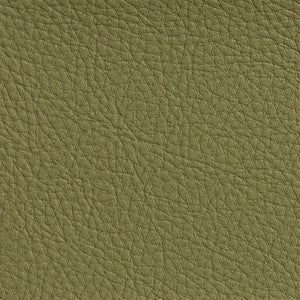 7191 Sage by Charlotte Fabric