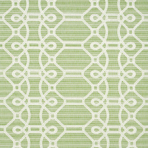 Ziz Embroidery Green 71933 by Schumacher Fabric