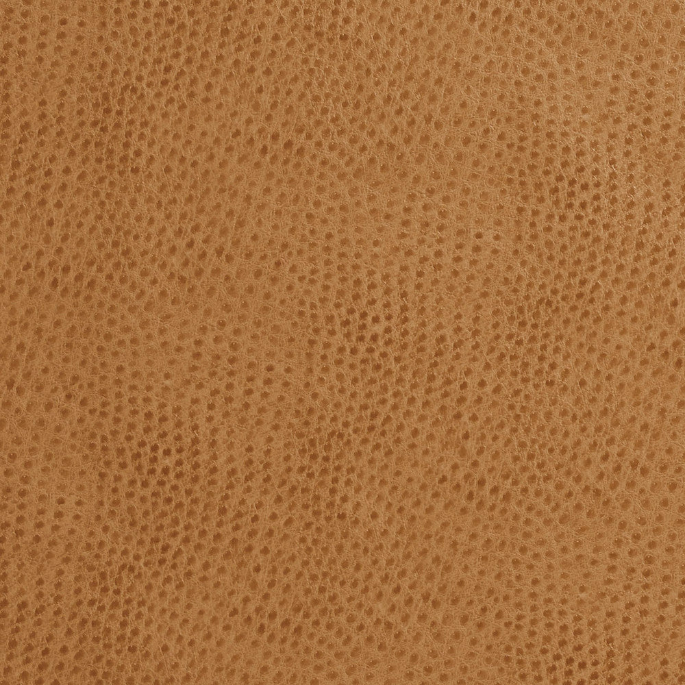 7209 Birch by Charlotte Fabric Exotics 100% Virgin Vinyl, 34oz. Asia Exceeds 200,000 Wyzenbeek Rubs (Heavy Duty) No Repeat 54 Inches - Fabric Carolina -