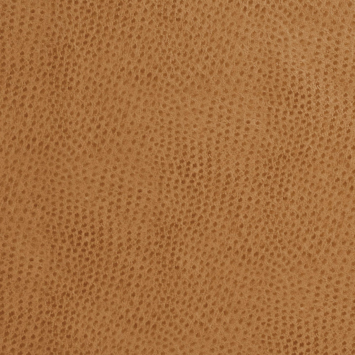 7209 Birch by Charlotte Fabric Exotics 100% Virgin Vinyl, 34oz. Asia Exceeds 200,000 Wyzenbeek Rubs (Heavy Duty) No Repeat 54 Inches - Fabric Carolina -