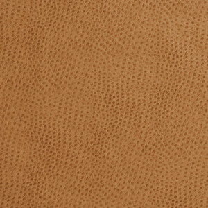 7209 Birch by Charlotte Fabric