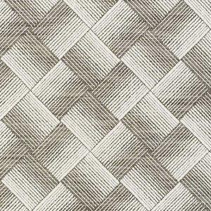 Ashberg Charcoal 72141 by Schumacher Fabric