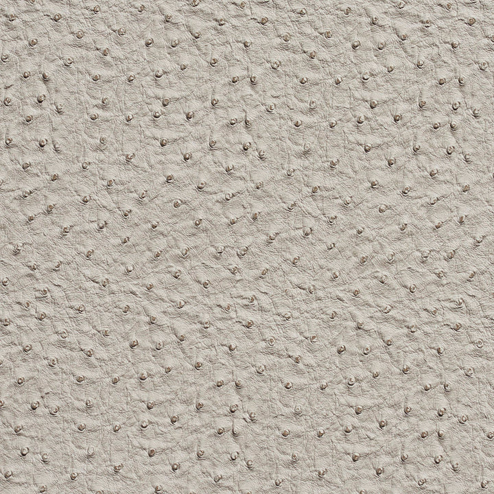7233 Fog by Charlotte Designer Fabric Exotics 100% Vinyl, 34oz. Asia Exceeds 200,000 Wyzenbeek Rubs (Heavy Duty) </p><p>Repeat: 54 Inches - Swanky Fabrics -