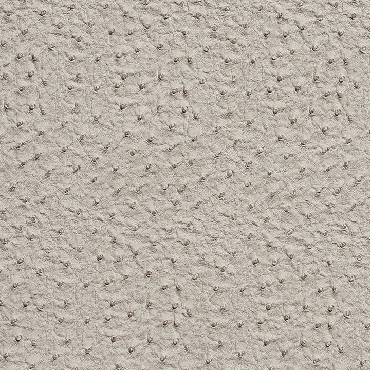 7233 Fog by Charlotte Fabric Exotics 100% Virgin Vinyl, 34oz. Asia Exceeds 200,000 Wyzenbeek Rubs (Heavy Duty) No Repeat 54 Inches - Fabric Carolina -