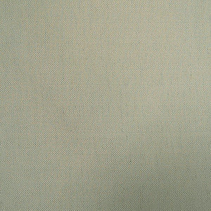 Challenge 7252 38 by Europatex Fabric