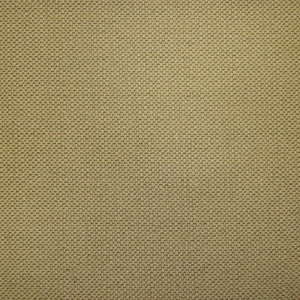 Challenge 7252 39 by Europatex Fabric