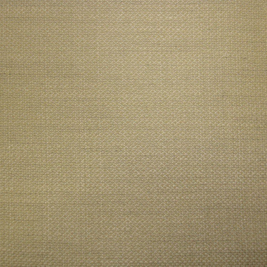 Challenge 7252 Col. 41 by Europatex Fabric Challenge 50% Polyester / 50% Viscose China See Sample Horizontal: N/A and Vertical: N/A 56.00 inches  - Fabric Carolina -