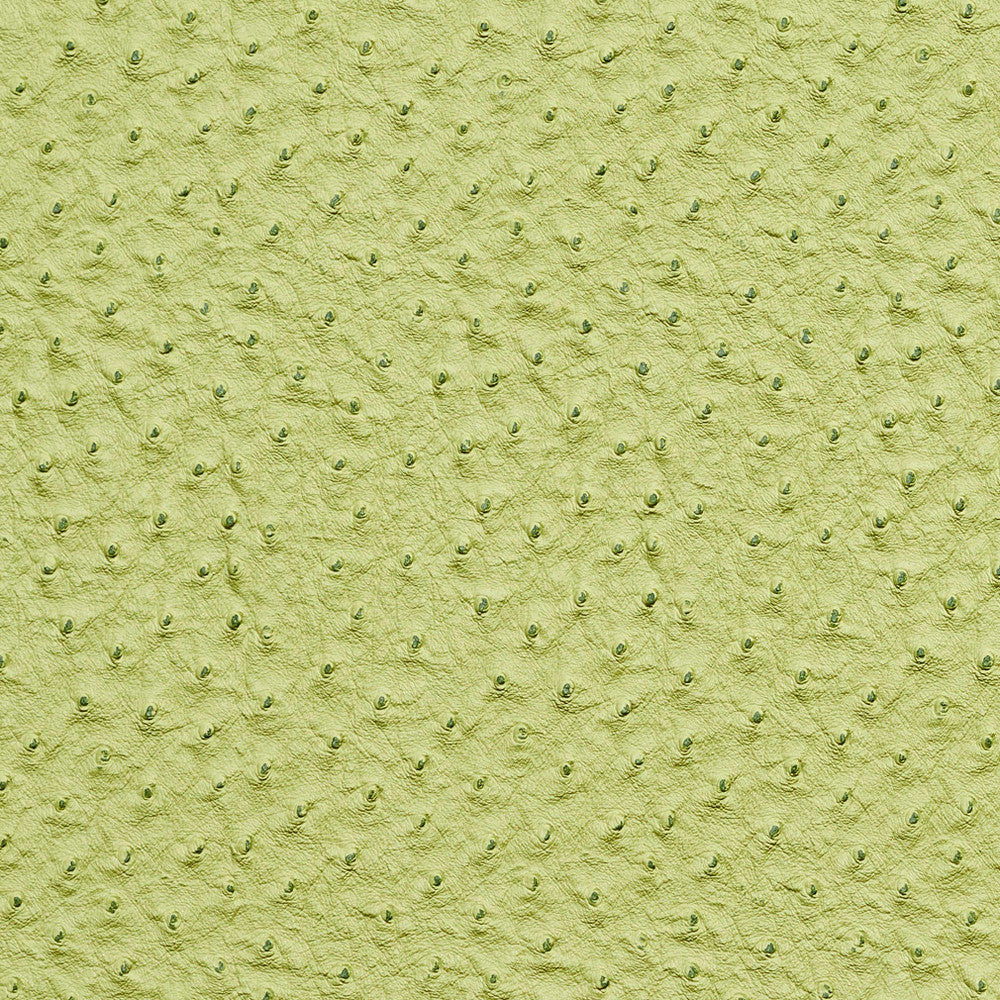 7269 Lime by Charlotte Fabric Exotics 100% Virgin Vinyl, 34oz. Asia Exceeds 200,000 Wyzenbeek Rubs (Heavy Duty) No Repeat 54 Inches - Fabric Carolina -