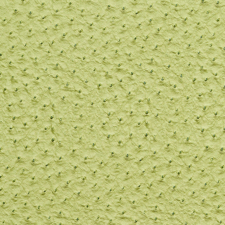 7269 Lime by Charlotte Fabric Exotics 100% Virgin Vinyl, 34oz. Asia Exceeds 200,000 Wyzenbeek Rubs (Heavy Duty) No Repeat 54 Inches - Fabric Carolina -