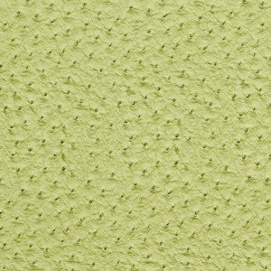 7269 Lime by Charlotte Fabric