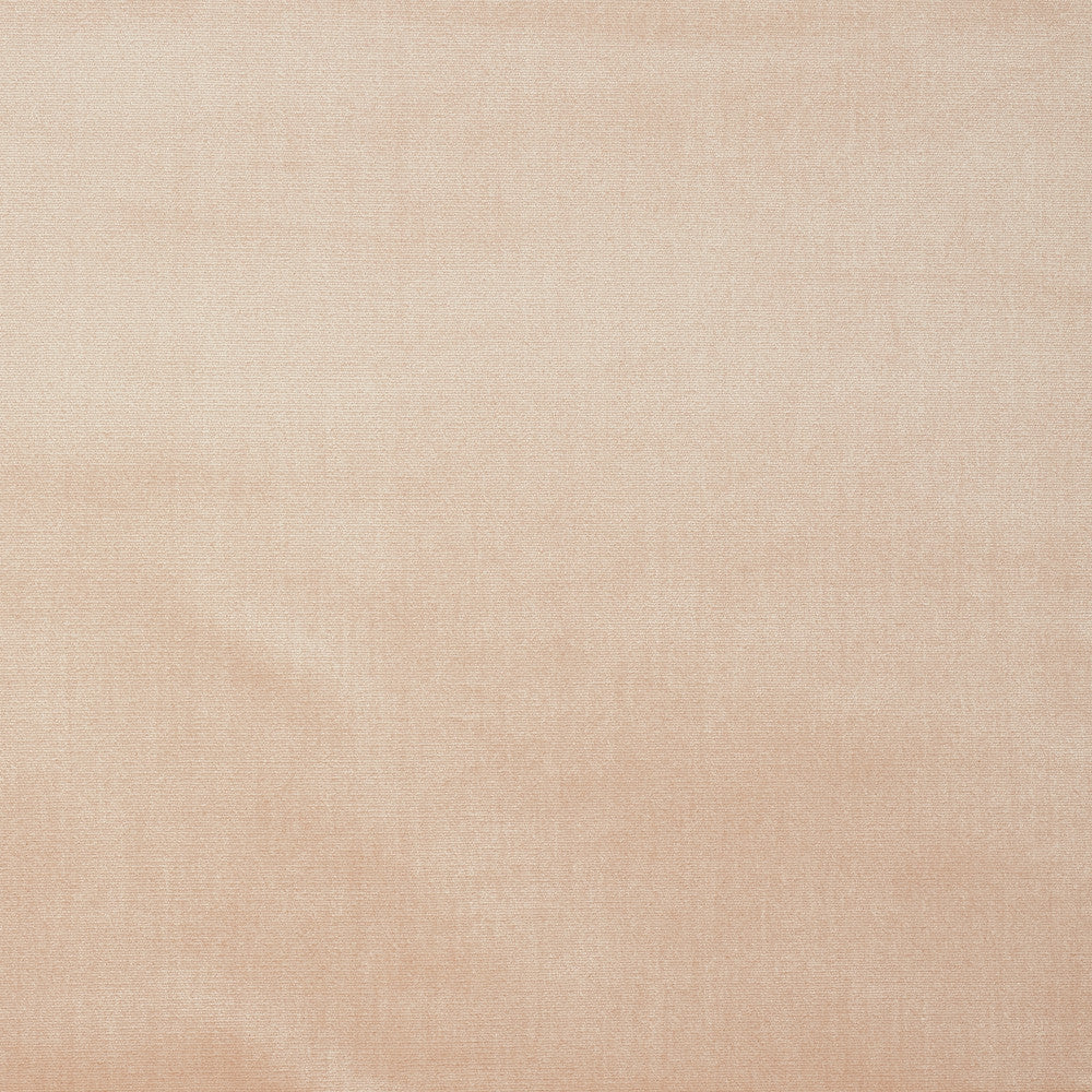 High Performance Silk Velvet Petal 72733 by Schumacher Fabric Schumacher Fabric High Performance Silk Velvet Petal 72733Fabric SILK 51% ITALY </p><p>Repeat: H: , V: 55 - Fabric Carolina -