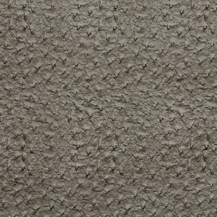 7273 Pewter by Charlotte Fabric Exotics 100% Virgin Vinyl, 34oz. Asia Exceeds 200,000 Wyzenbeek Rubs (Heavy Duty) No Repeat 54 Inches - Fabric Carolina -