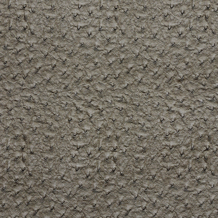 7273 Pewter by Charlotte Designer Fabric Exotics 100% Virgin Vinyl, 34oz. Asia Exceeds 200,000 Wyzenbeek Rubs (Heavy Duty) No Repeat 54 Inches - Swanky Fabrics -