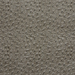7273 Pewter by Charlotte Fabric