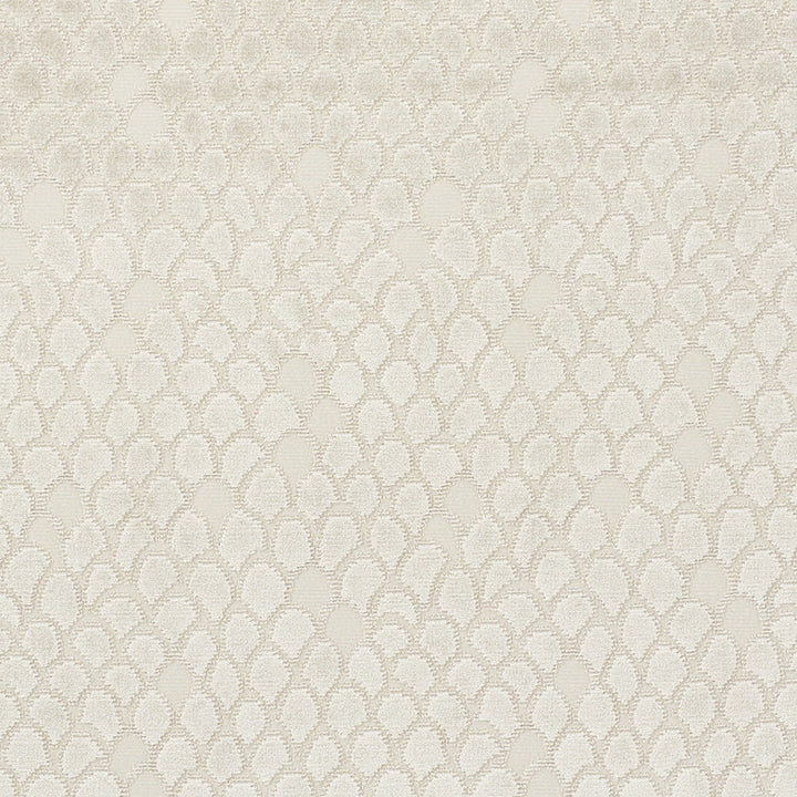 Esther Velvet Moonstone 72771 by Schumacher Fabric Cut-Patterned-Velvets 80% Viscose, 17% Cotton, 3% Polyester Martindale 35,000 Horizontal: 13.5 and Vertical: 11 54 - Fabric Carolina -