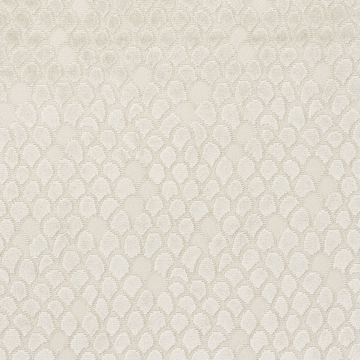 Esther Velvet Moonstone 72771 by Schumacher Fabric CUT & PATTERNED VELVETS VISCOSE 80% COTTON 17% BELGIUM MARTINDALE 35,000 </p><p>Repeat: Horizontal: 13 1/2" (34CM) and Vertical: 11" (28CM) 54 - Fabric Carolina -