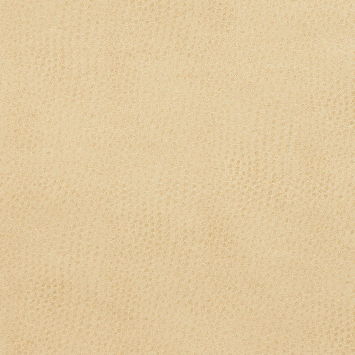 7277 Parchment by Charlotte Designer Fabric Exotics 100% Vinyl, 34oz. Asia Exceeds 200,000 Wyzenbeek Rubs (Heavy Duty) </p><p>Repeat: 54 Inches - Swanky Fabrics -