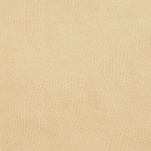 7277 Parchment by Charlotte Fabric