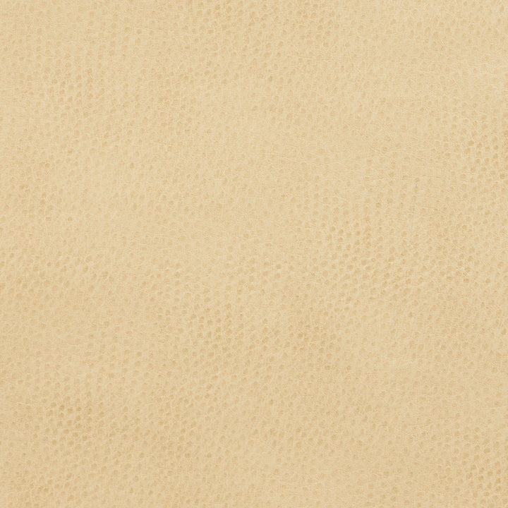 7277 Parchment by Charlotte Fabric Exotics 100% Virgin Vinyl, 34oz. Asia Exceeds 200,000 Wyzenbeek Rubs (Heavy Duty) No Repeat 54 Inches - Fabric Carolina -