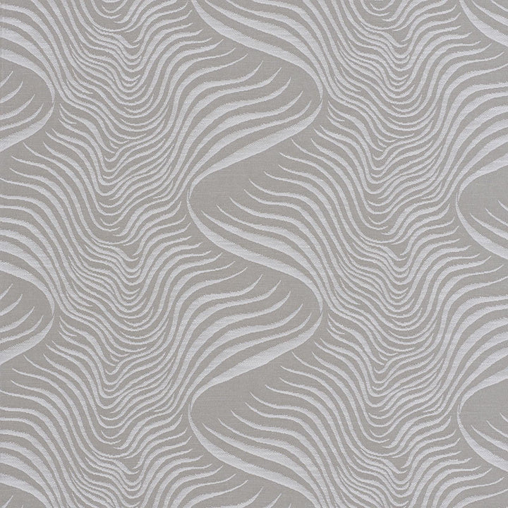 Sauvage High Performance Woven Dove 73030 by Schumacher Fabric Schumacher Fabric Sauvage High Performance Woven Dove 73030Fabric POLYESTER 33% ITALY </p><p>Repeat: H: HORZ. 14" (36CM) , V: VERT. 11 1/4" (29CM) 56 - Fabric Carolina -