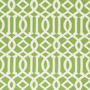 Imperial Trellis Indoor/Outdoor Leaf 73160 by Schumacher Fabric