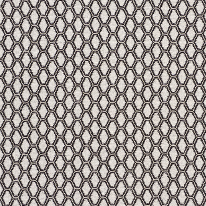 Beehive Graphite 73422 by Schumacher Fabric HAPPY TOGETHER COTTON 72% VISCOSE 19% ITALY MARTINDALE 23,000 </p><p>Repeat: Horizontal: 1 1/2" (4CM) and Vertical: 1 1/2" (4CM) 54.5 - Fabric Carolina -