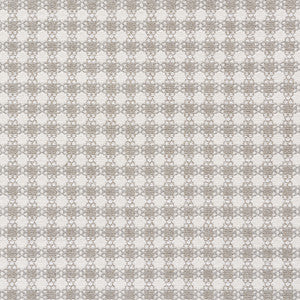 Checkmate Grey 73431 by Schumacher Fabric
