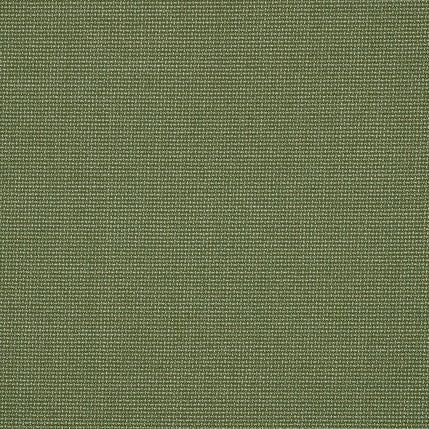 48135-0017 Bliss Aloe by Sunbrella Fabric Perspectives Collection 100% Sunbrella Materials USA 5-Year 54 inches (137.16 cm) - Fabric Carolina -