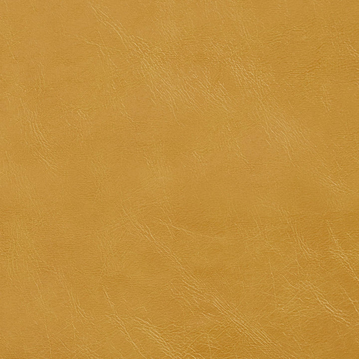 7404 Saffron by Charlotte Fabric Breathables 100% Breathable Polyurethane, 26oz. Asia Exceeds 2,000,000 Wyzenbeek Double Rubs (Heavy Duty) </p><p>Repeat: No Repeat 54 Inches - Fabric Carolina -