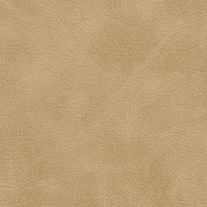 7411 Sand by Charlotte Fabric Breathables 100% Breathable Polyurethane, 26oz. Asia Exceeds 250,000 Wyzenbeek Rubs (Heavy Duty) No Repeat 54 Inches - Fabric Carolina -